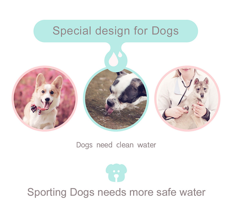 Portable Pet Dog Water Bottle For Small Large Dogs Travel Puppy Cat Drinking Bowl Outdoor Pet Water Dispenser Feeder Pet Product