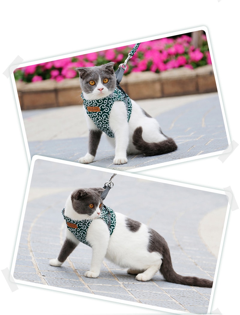 Japanese Style Cat Vest Harness Leash Set Breathable Mesh Vest Collar For Cats Outdoor Kitten Walking Leash Dropshipping