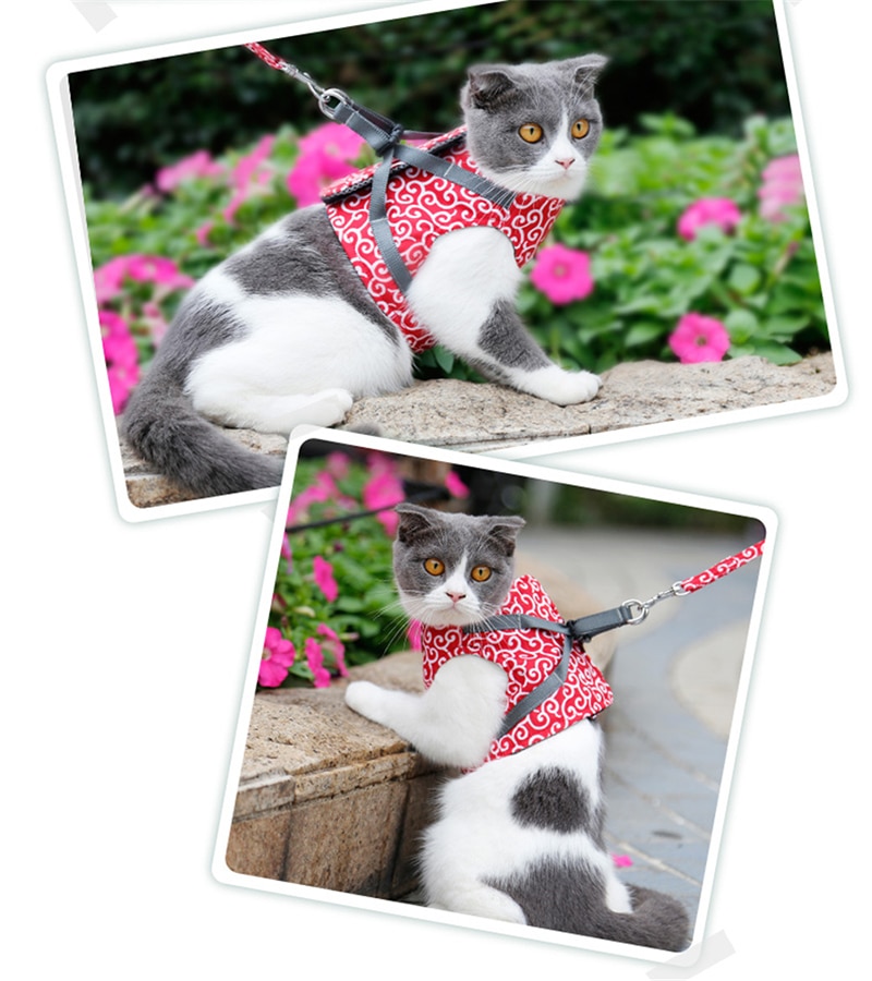 Japanese Style Cat Vest Harness Leash Set Breathable Mesh Vest Collar For Cats Outdoor Kitten Walking Leash Dropshipping