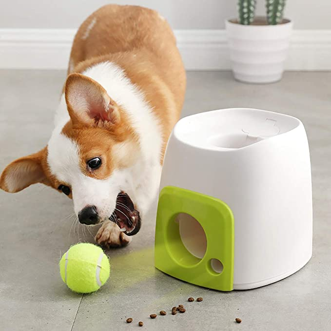 Automatic Interactive Dog tennis launcher