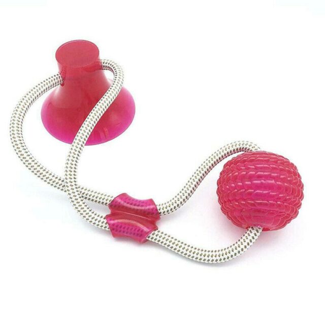 Interactive Suction Cup Tug Dog Chew Toy