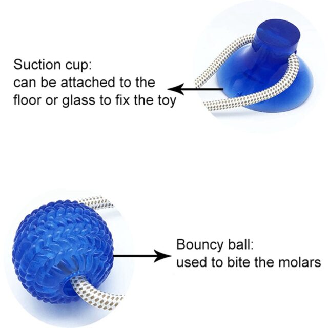 Interactive Suction Cup Tug Dog Chew Toy