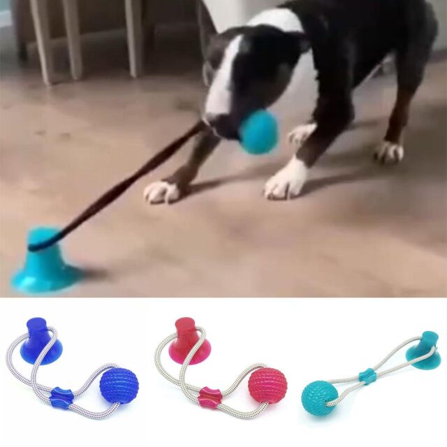 Interactive Suction Cup Tug Dog Chew Toy