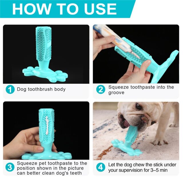 Best Dog Teeth Cleaning Toothbrush