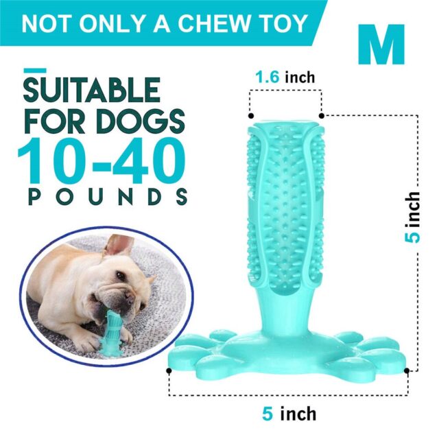 Best Dog Teeth Cleaning Toothbrush
