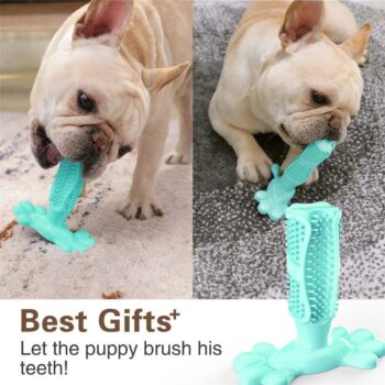 Best Dog Teeth Cleaning Toothbrush