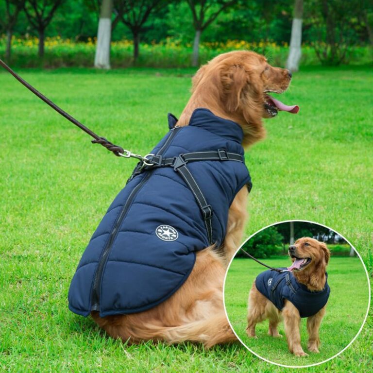 Waterproof Pet Jacket With Harness Funiyou